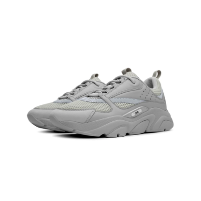 Dior B22 Gris